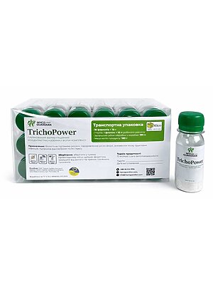 TrichoPower Box (15 шт)